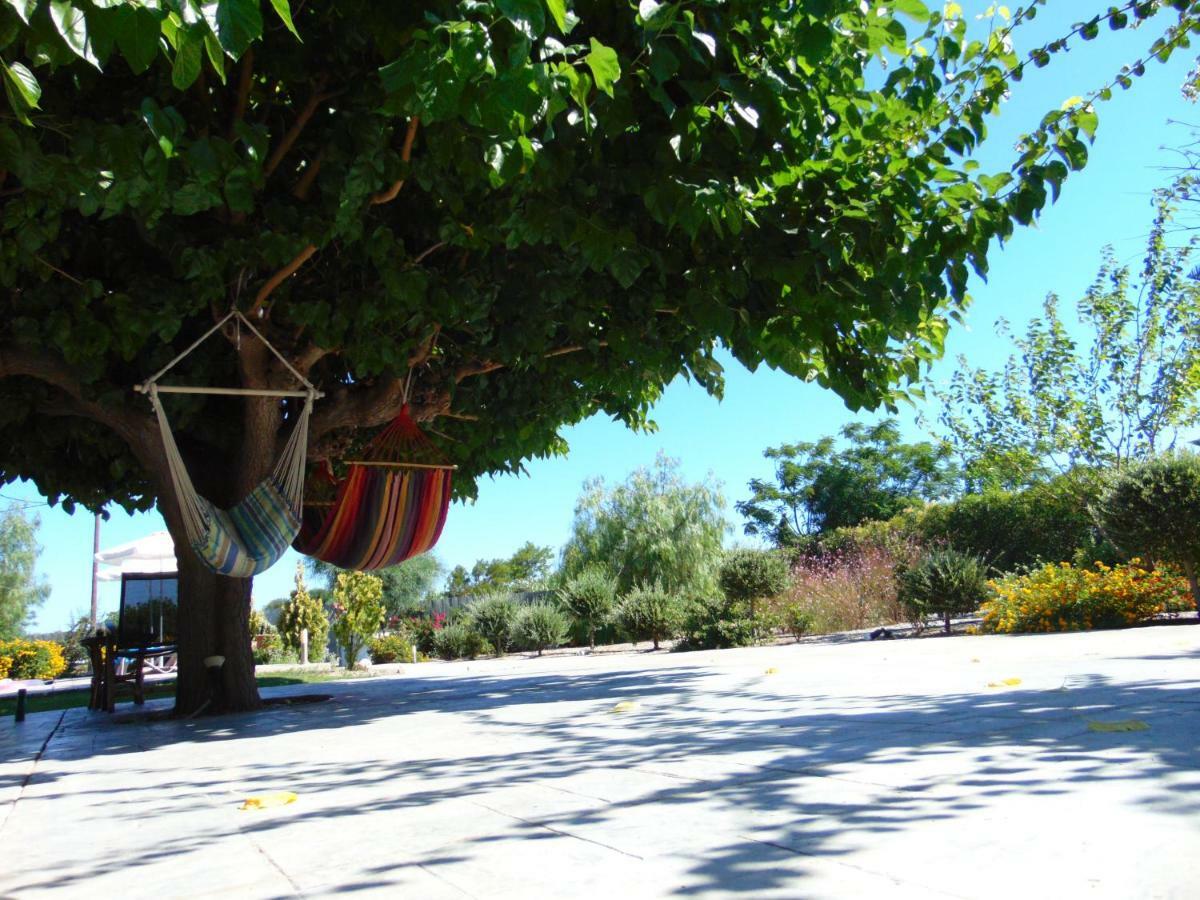 Villa Dora Faliraki Exterior photo